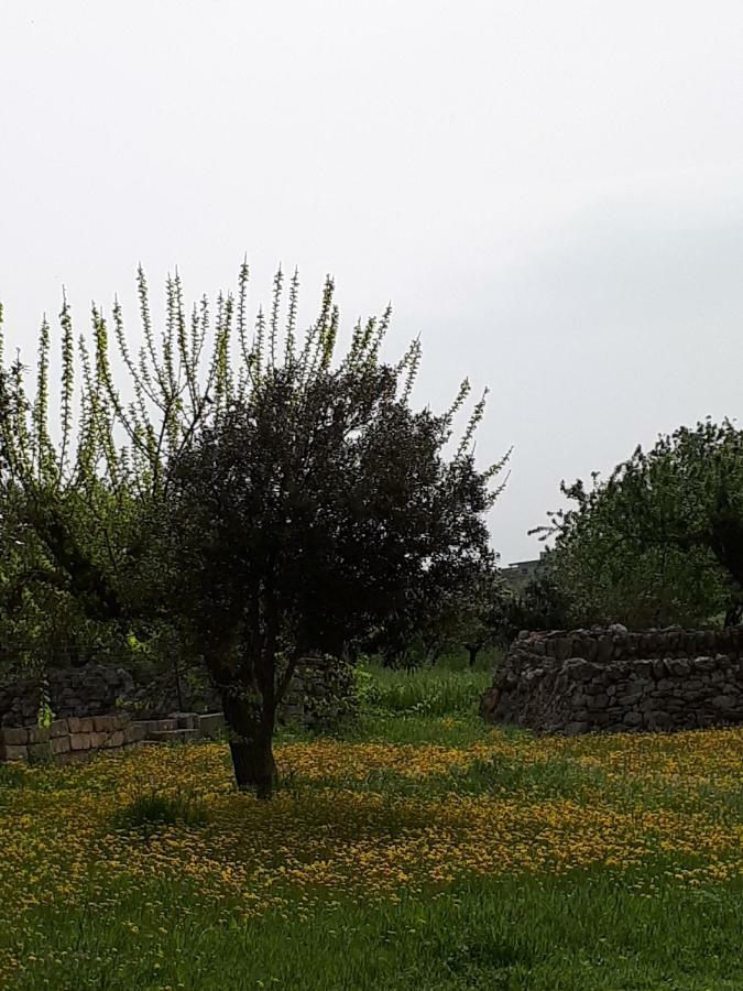 Masseria Cassiere Mottola Exterior foto